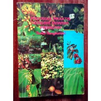 PEDOMAN PRAKTIS BUDIDAYA TANAMAN PERKEBUNAN (SUATU RANGKUMAN)