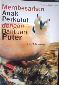 Membesarkan anak perkutut dengan bantuan puter