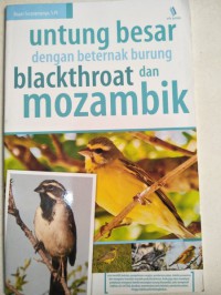 Untung besar dengan beternak burung blackthroat  dan mozambik